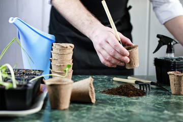 gardener hand sprout table