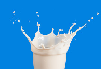 Set of Splash of milk from the glass on a blue background