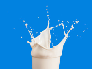 Set of Splash of milk from the glass on a blue background