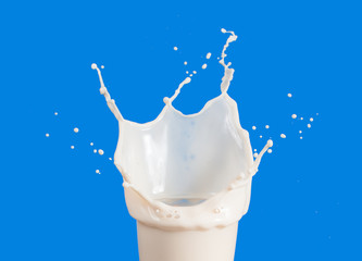 Set of Splash of milk from the glass on a blue background