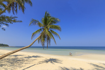 Fototapeta na wymiar Tropical Beach , Thungwualaen Beach at Chumphon , Thailand 