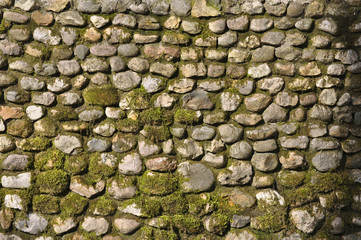 Текстура из старых камней и мха
