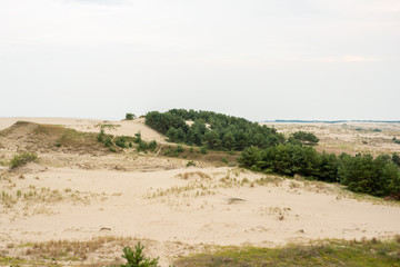 Woods and dunes of the Curonian Spit