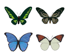 Set of hand drawn colorful doodle butterflies