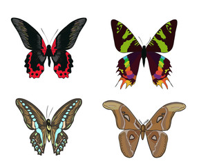 Set of hand drawn colorful doodle butterflies