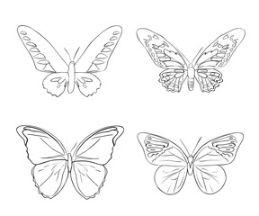 Set of sketches doodle butterflies
