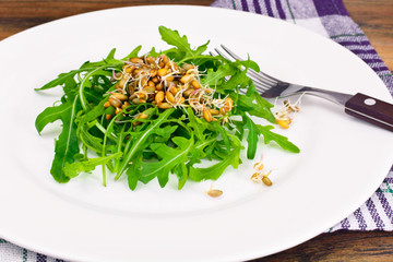 Arugula Salad with Germinated Grain in White Plate