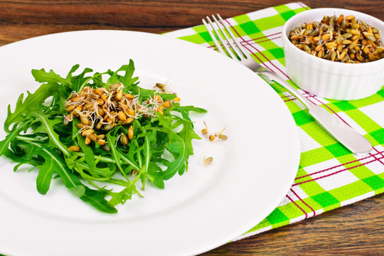 Arugula Salad with Germinated Grain in White Plate
