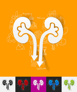 kidneys paper sticker with hand drawn elements
