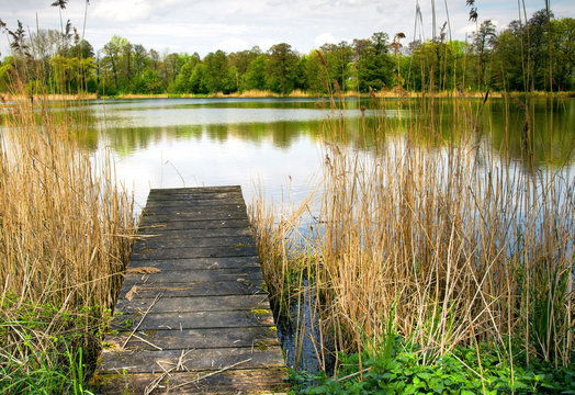 Landscape, spring at the pond