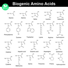 Biogenic amino acids