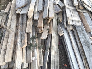 timber pile