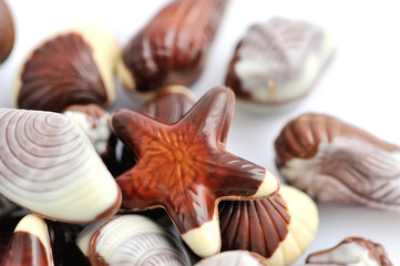 Swiss chocolate seashells on white background