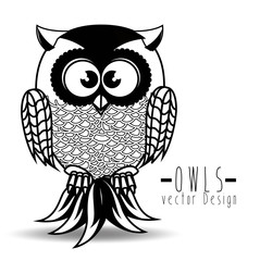 Owl character design 