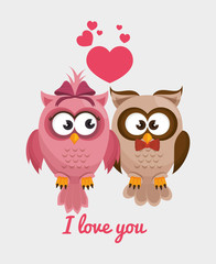 Owl character design 