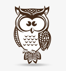 Owl character design 