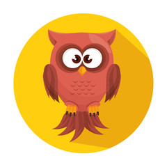 Owl character design 