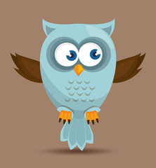 Owl character design 