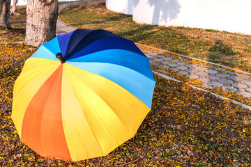 Colorful umbrella on garden background