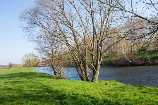 Flusslandschaft Der Mulde In Zwickau