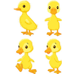 Funny chick cartoon
