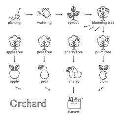 Orchard icons set. It can be used as poster.
