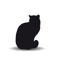 silhouette of a black cat white background