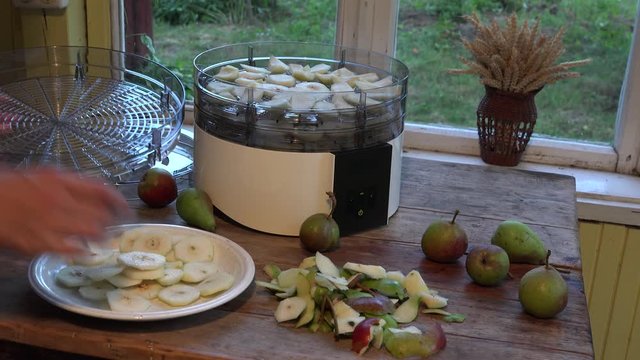 woman hands put sliced pears in fruit dryer machine dish. Static closeup shot. 4K
