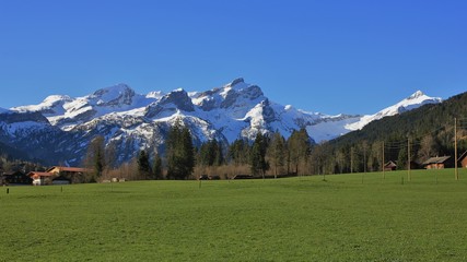 Snow capped mountain range and green meadow