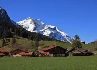 Fototapeta na wymiar Snow covered Mt Oldenhorn and Swiss chalets on a green meadow