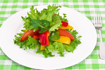 Tomato, Sweet Pepper with Lettuce Salad 
