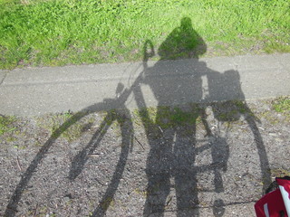 Schatten auf dem Weg