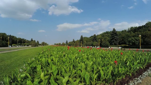 Flower Garden in city park