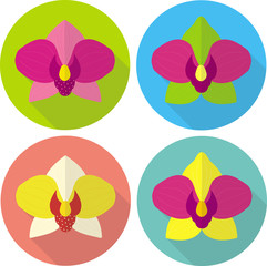 Flat icons of orchid. Set of colorful vector illustrations. Blooming of exotic flowers. Bright icon of single bud.