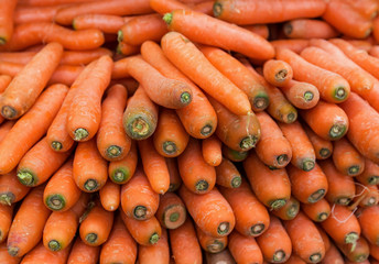 Fresh carrots on sale at market