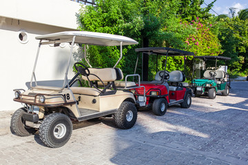 Naklejka premium Golf carts in a raw