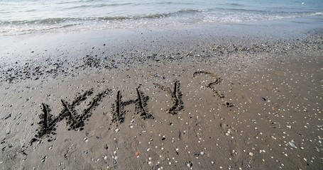 WHY written on the sand of the sea