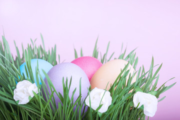 Colourful easter eggs in grass with flowers