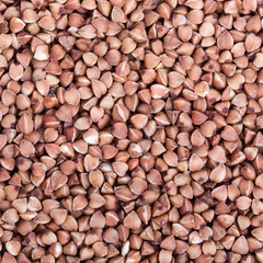 Dry buckwheat macro texture background