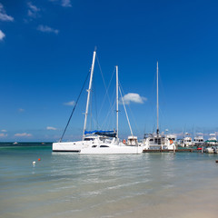Obraz premium Yachts and sailboats moored in marina