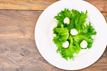 Lettuce with Mozzarella and Walnuts
