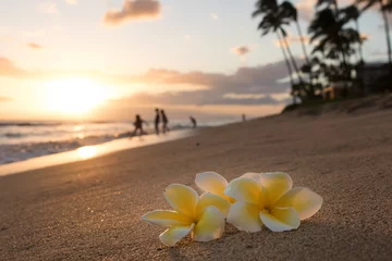 Fotobehang Plumeria flowers on the shore on sunset beach with golden sunlight and people on background © aliaj