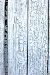 old wood planks with exfoliated paint
