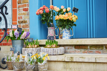 Fototapeta na wymiar Flower shop in Belgium