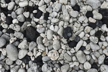 Black lava rocks with white coral, Maui, Hawaii, USA