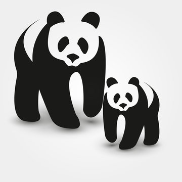 Panda mother and son vector 