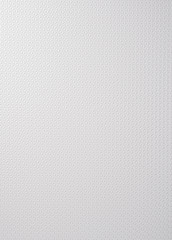 Textured White Vinyl Wallpaper