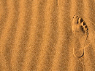 footprint on the desert