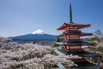 Rolgordijnen Sakura in Arakurayama Sengen Park © kyaimu426