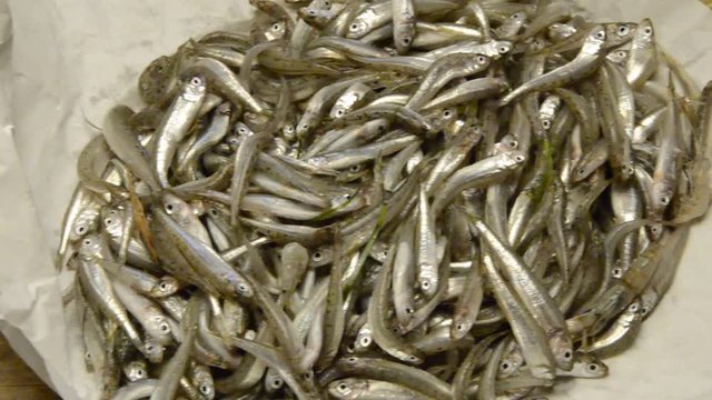 مچھلی بھون Fish fry Rbjih mladic Frijenno magnanno Frittura di paranza Fiskeyngel